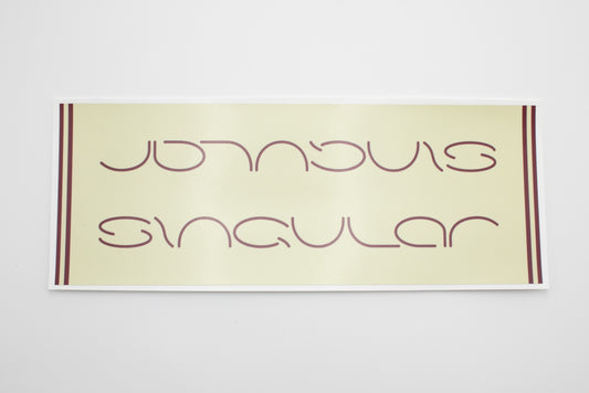 Singular downtube vinyl decals