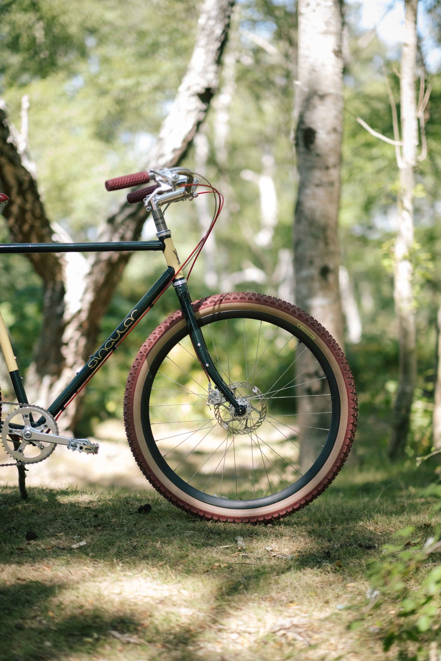 Peregrine Mk 4 frameset