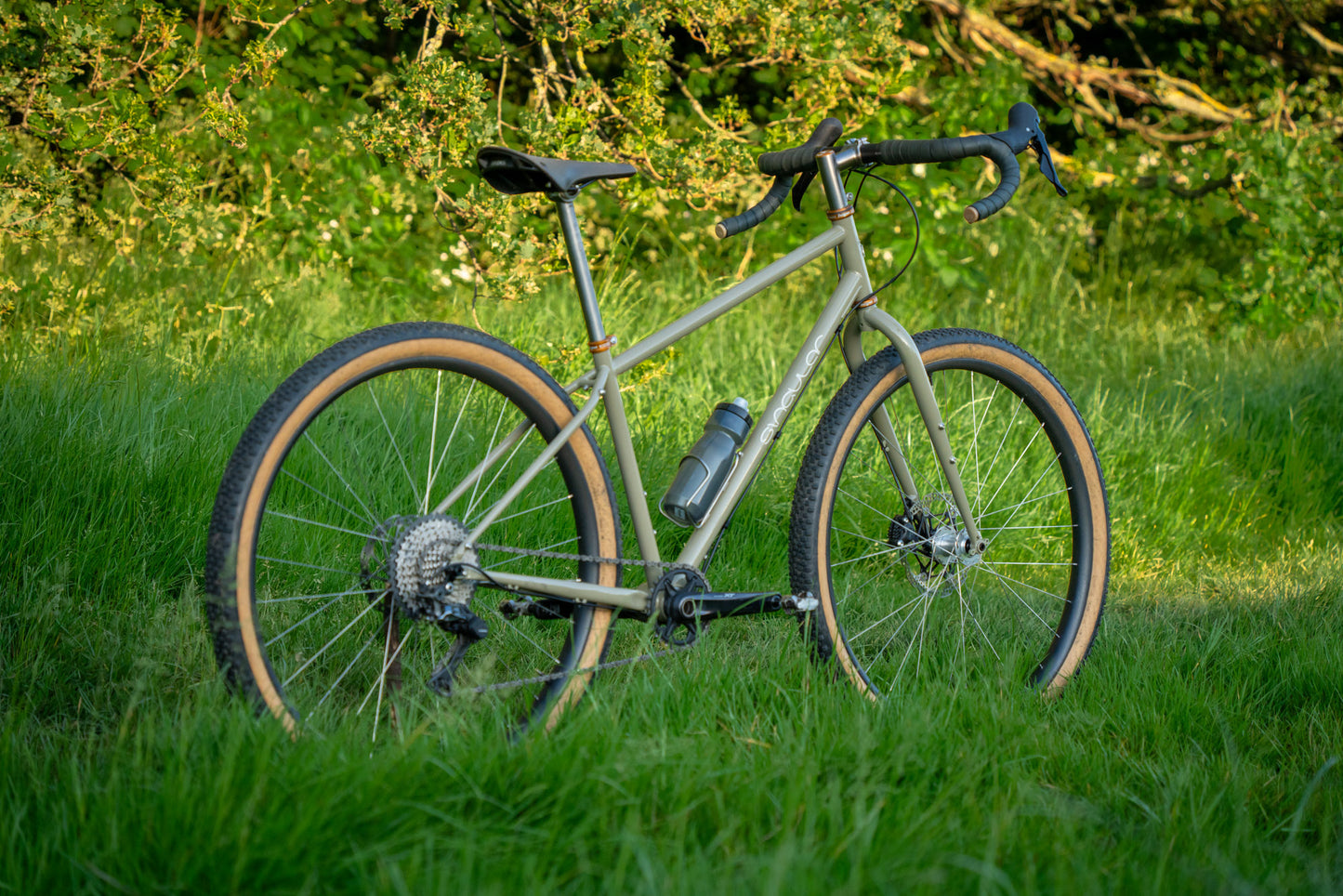 steel gravel bike rear angle
