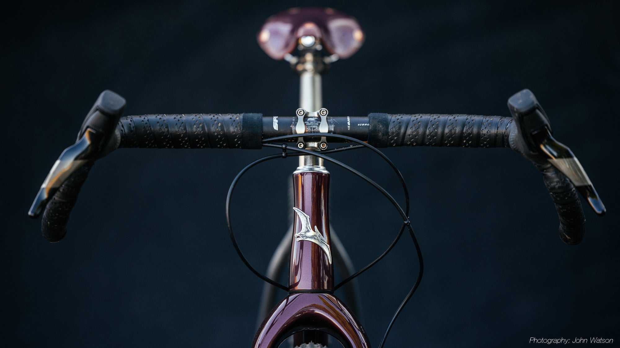 PTERODACTYL – singularcycles
