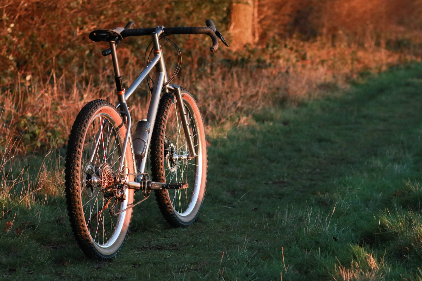 Gryphon Titanium frameset - custom