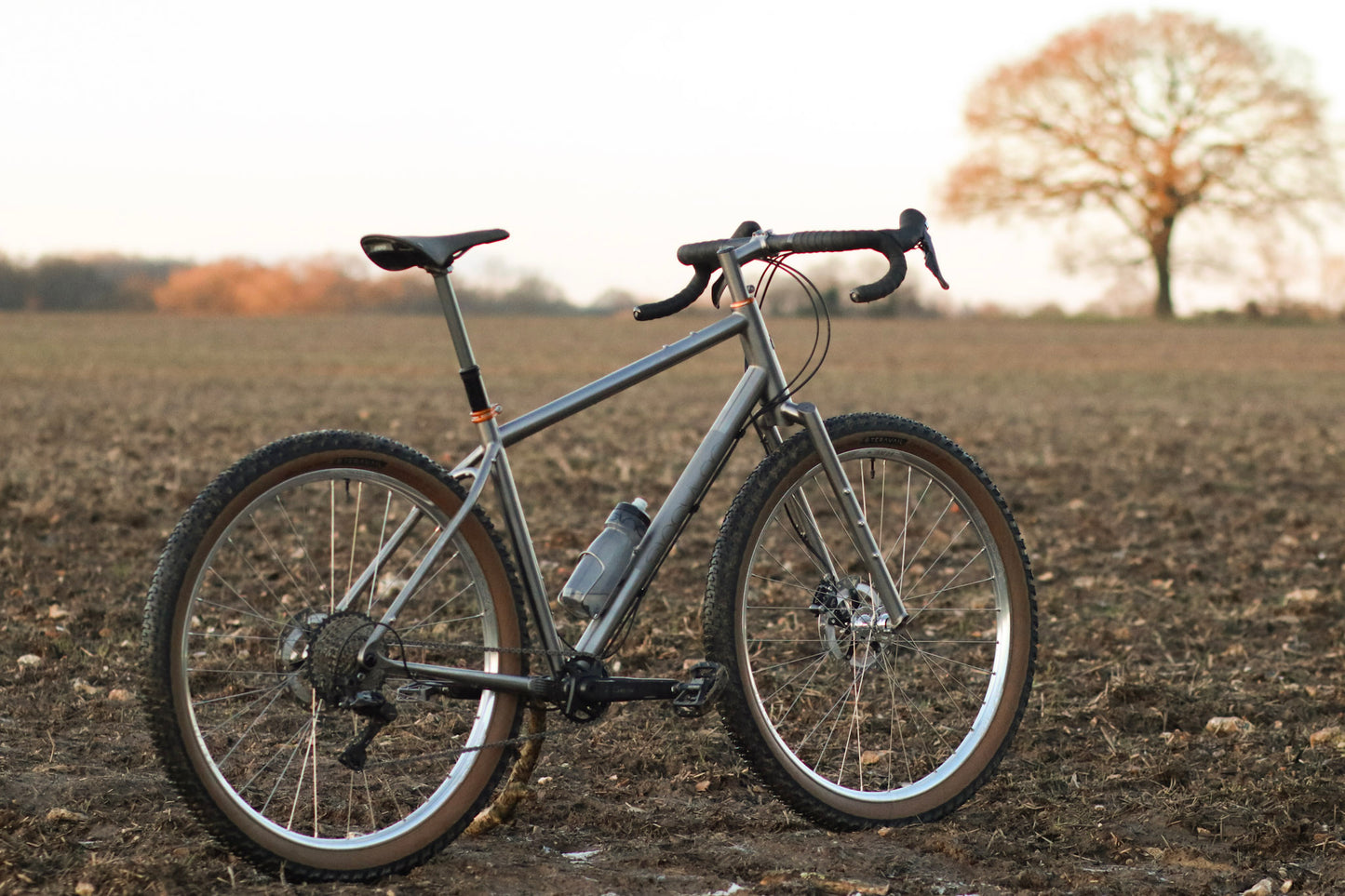 Gryphon Titanium frameset - custom