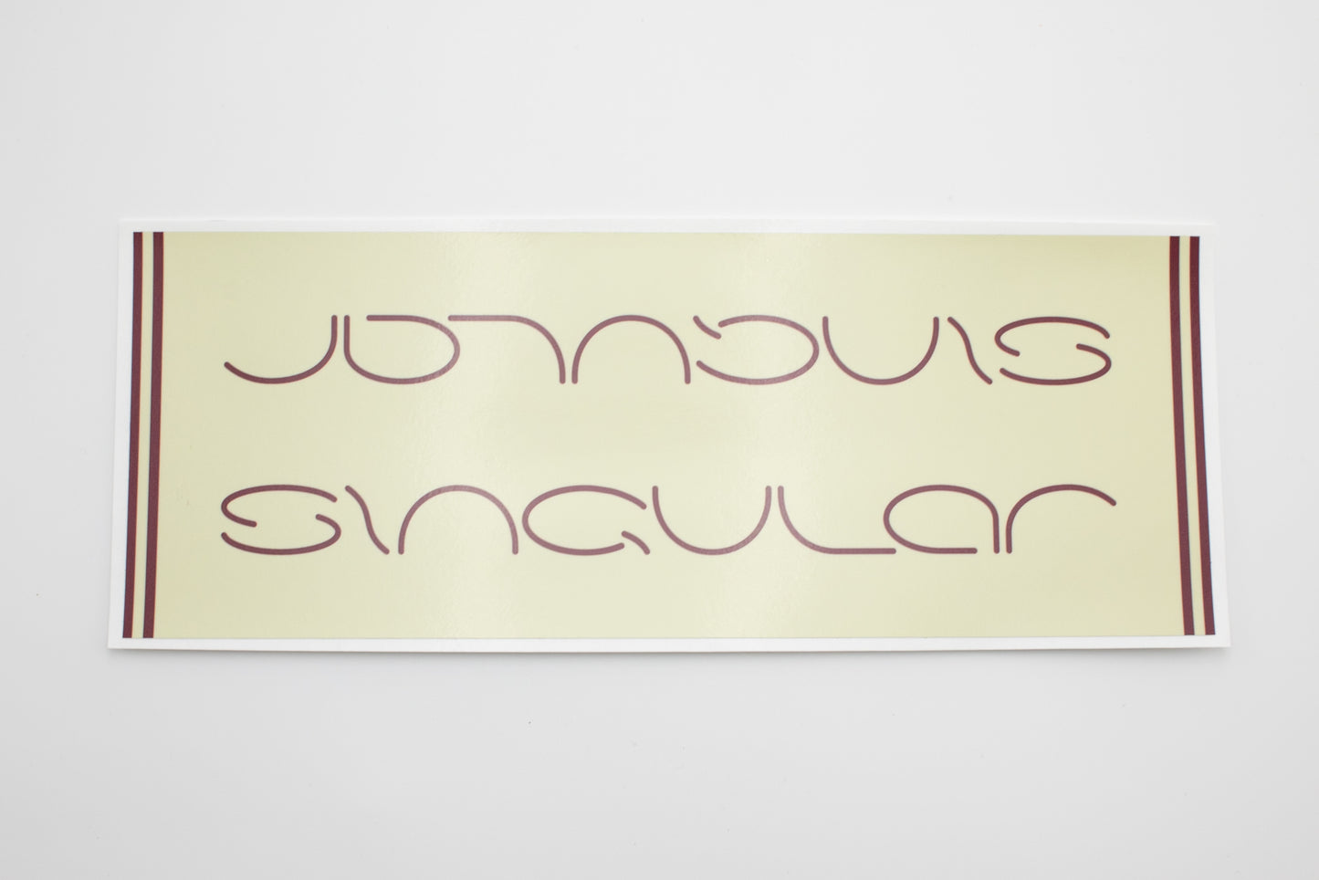 Singular downtube vinyl decals