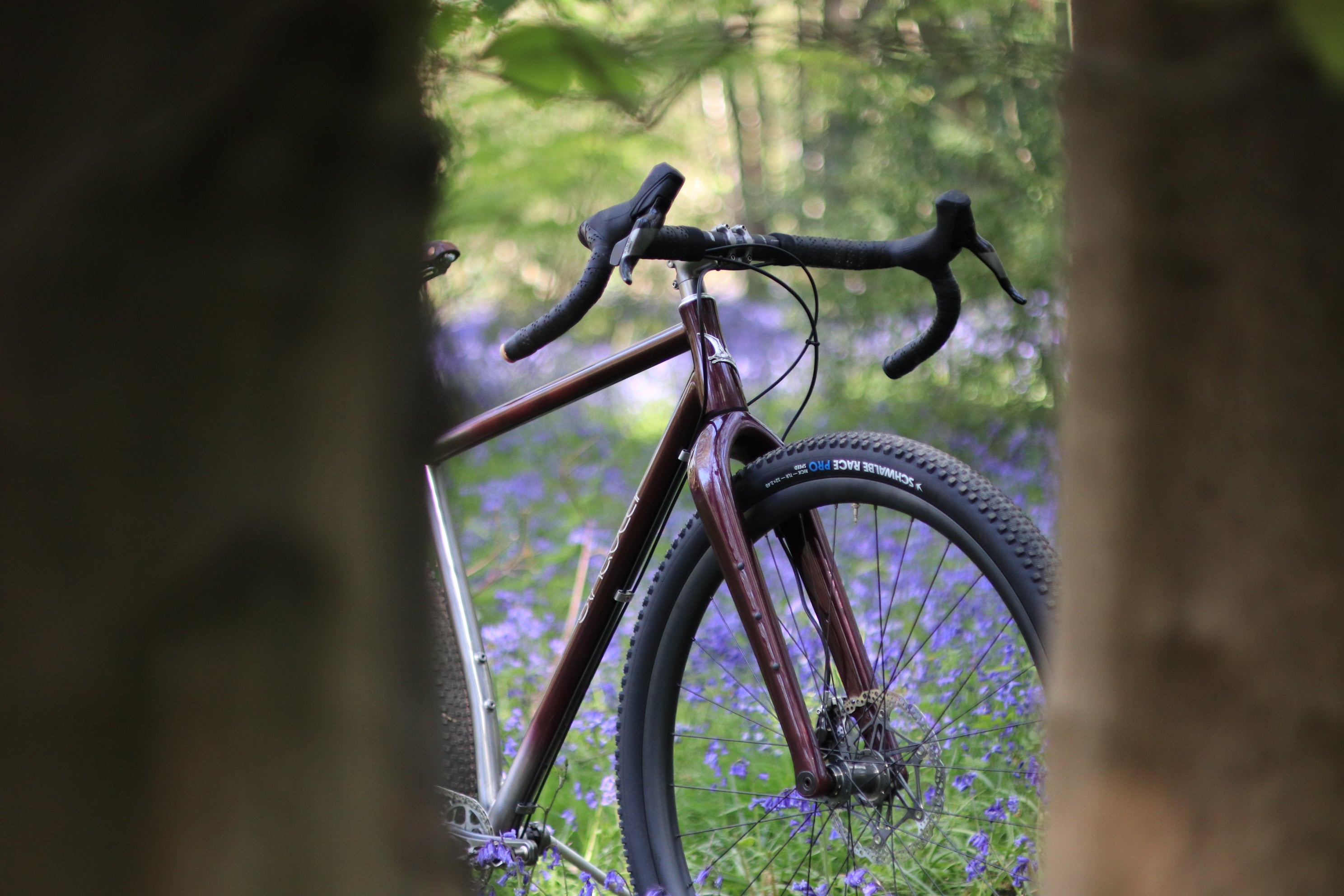 PTERODACTYL – singularcycles