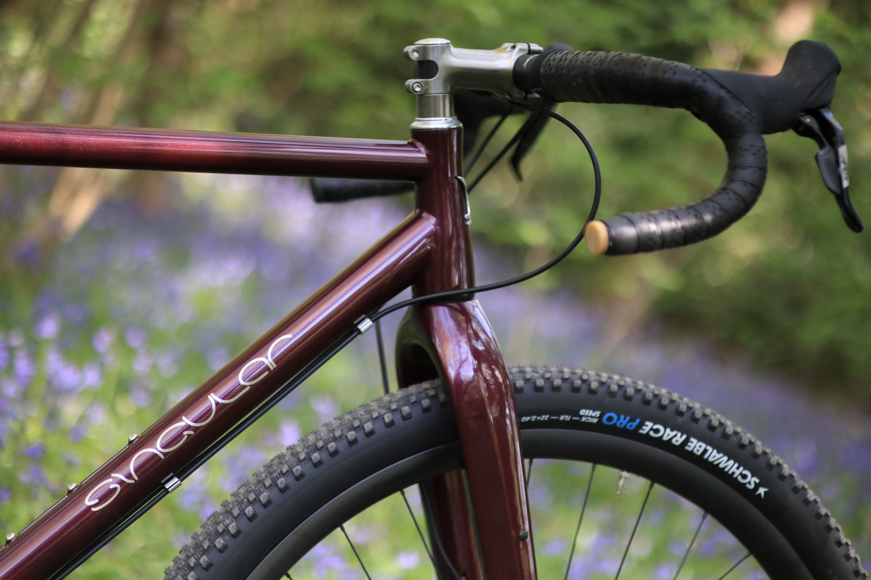 PTERODACTYL – singularcycles