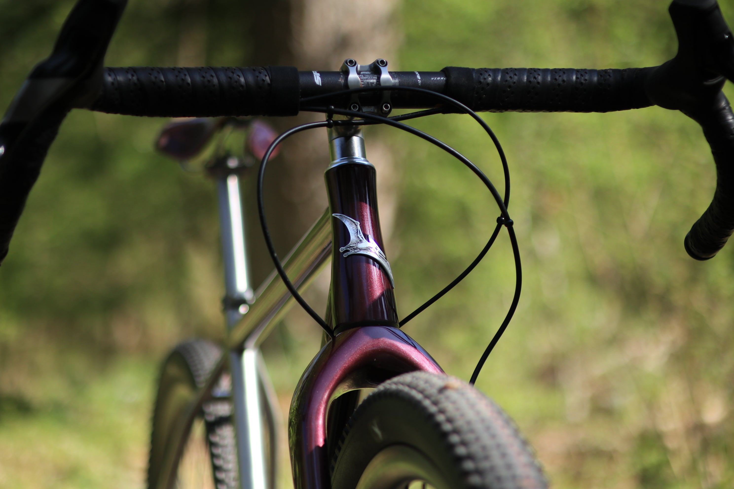 PTERODACTYL – singularcycles