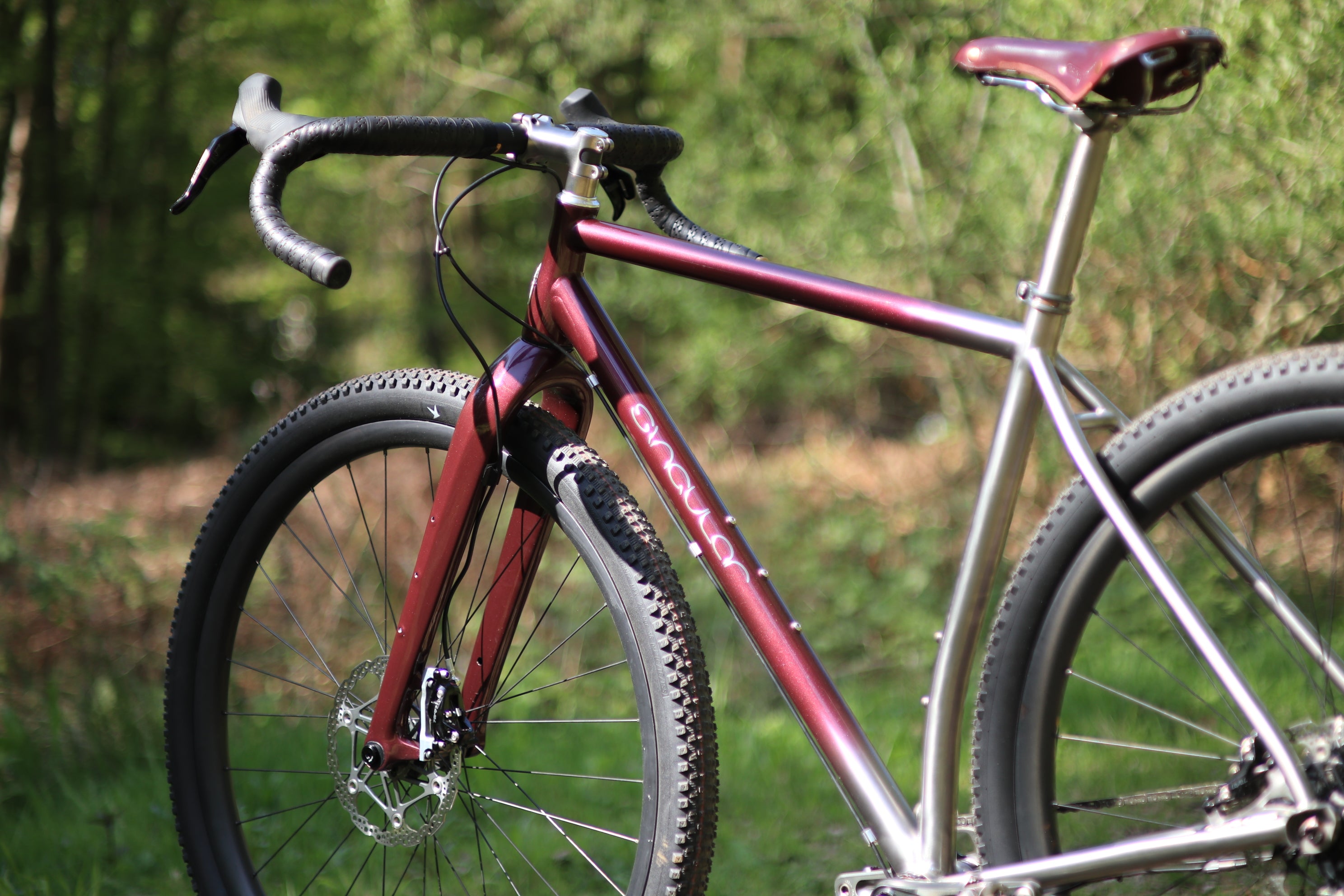 PTERODACTYL – singularcycles