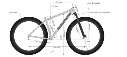 Pegasus Titanium frame - custom