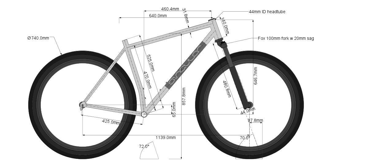 Pegasus Titanium frame - custom